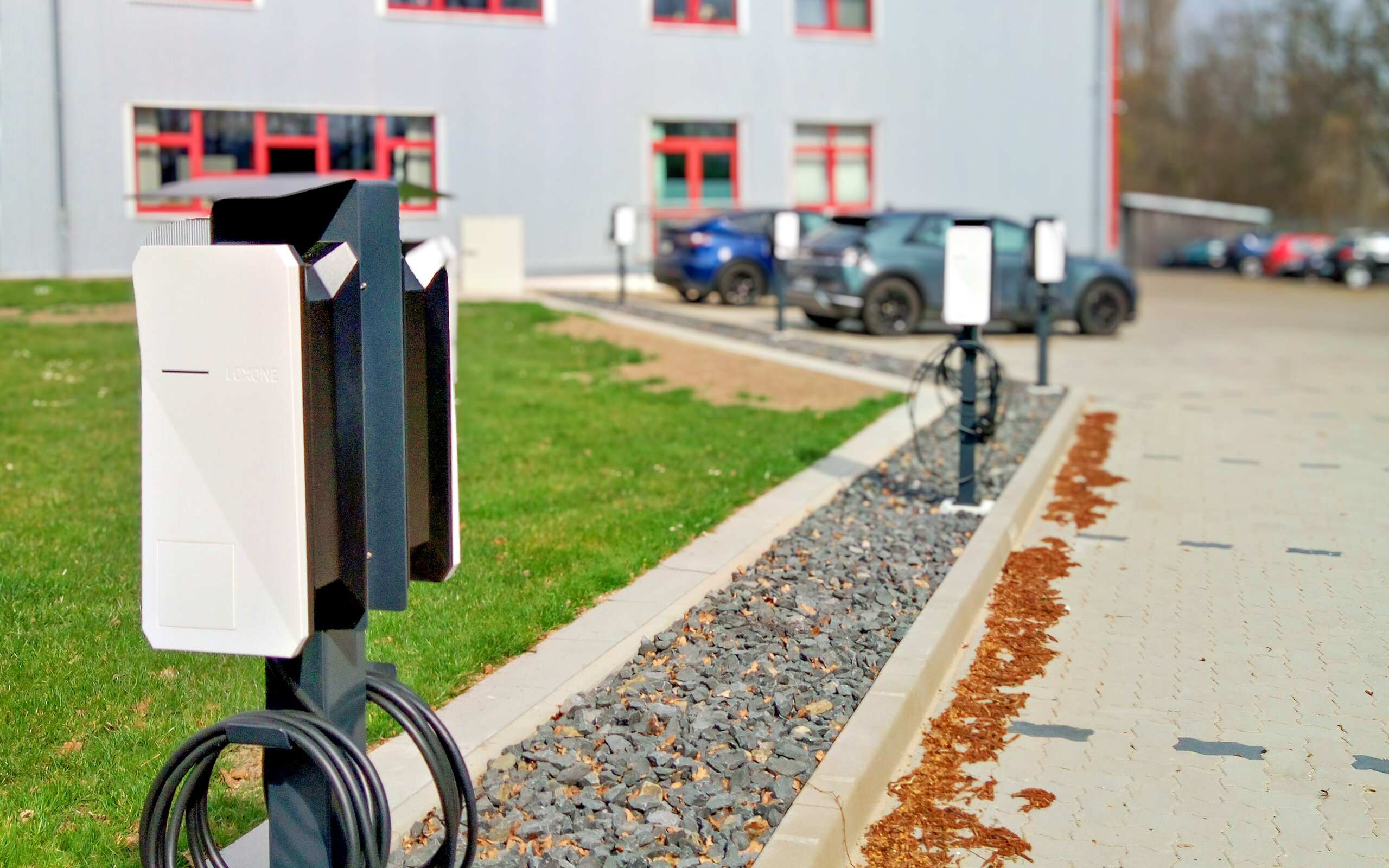 IMG 20250324 130325 457 Radiant Photo