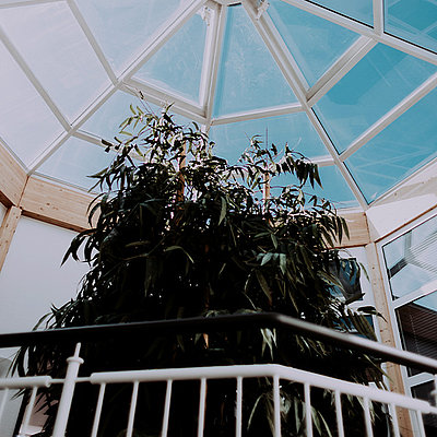 Glass roof in octagon HQ