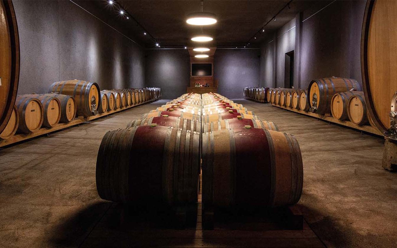 Room with wine barrels